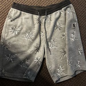 Rip Curl Shorts (Medium)